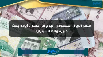 سعر الريال السعودي اليوم في مصر.. زيادة بحث كبيرة والطلب يتزايد
